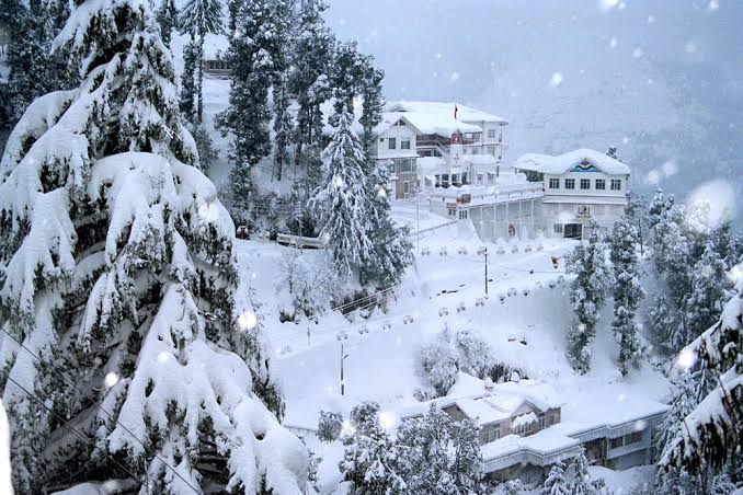 87396_Shimla, Kullu , Manali Tour by www.suvidhayatri.com call @ 8744992244 (17)